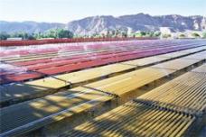 Algatechnologies expanding capacity