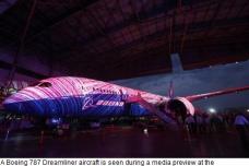 Exclusive - WTO judges fault Boeing subsidies -- sources