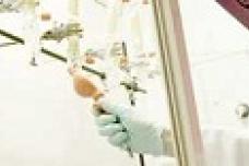 Smithers Rapra China lab adds ECE R117 testing