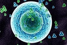 Southeast Asian biocides market growing fast