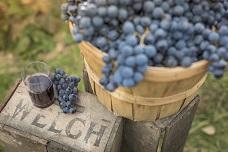 Concord Grape is on trend in 2018