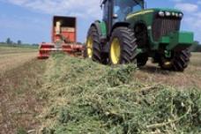 S&W Seed acquires 114 acres of California farmland
