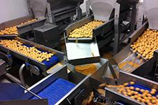 New “weighs” for successful convenience food packing