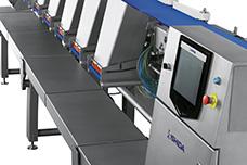 Ishida: ‘cautiously optimistic’ in 2015