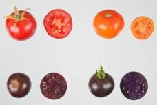 Enhancing the taste and shelf life of tomatoes