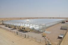 EY: Solar EOR could generate growth in Oman