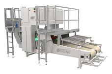 Cut out defects from potato strips