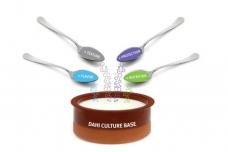 Dahi production made easy