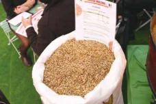 Technology is strongest segment at Brau Beviale