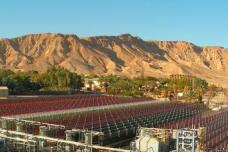 Algatechnologies increases capacity for astaxanthin