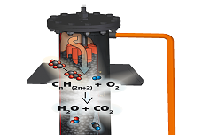 Oil-free compressed air for the food industry