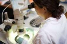 Purac Biomaterials builds facility for biomedical polymers in Georgia