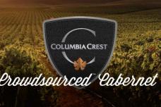 Vineyard on the Internet