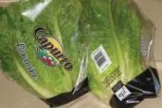 EPI cites benefits of Oxo-biodegradable technology