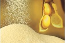 Berg + Schmidt, Sternchemie put up deoiled lecithin plant in Singapore