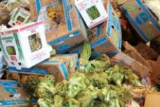 Sustainability Summit tackles food security & waste