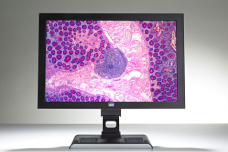 High-end viewing in digital pathology
