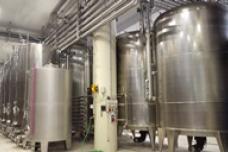 The sparkle of Prosecco