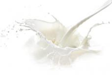 How dairies are surviving