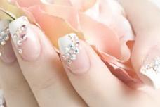 Global Market Brief on Professional Nail Care Market