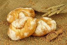 Global wheat initiative launched