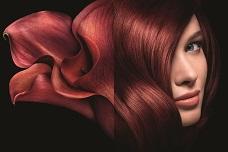 Kline explores P&G's beauty divestiture