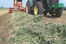 S&W acquires 114 acres of California farmland