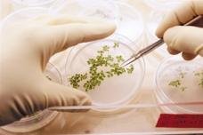 Syngenta unveils state-of-the-art crop facility