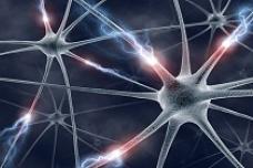 Outcomes of on-drug approach to ADHD