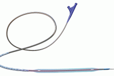 GliderXtreme receives ‘Shonin’ in Japan