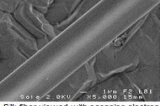 Silk harnessed for biosensors, lasers microchips