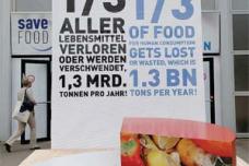 Saving food more efficient than increasing food production