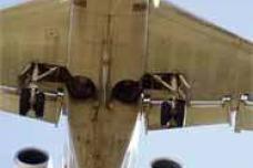 Abu Dhabi's aviation leaders to boost capital standing