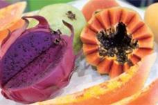 Asia Fruit Logistica powers ahead