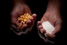 RTP expands bioplastic products to include impact-modified PLA compounds