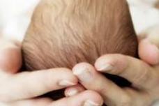 Probiotics good for preemies