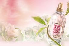 Rose Aurore Arrives at L'Occitane