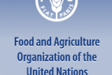 Conflict devastates Syria's agricutural sector
