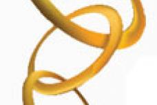 Tribute to excellence