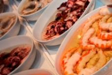 Angola’s fishing resources profiled in new market research