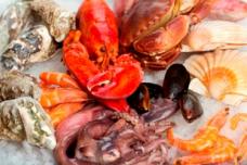 SEAFEX set to net strong demand from region's hospitality industry