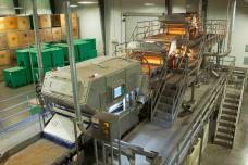 Walnut processor upgrades with Key Technology sorters