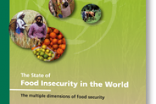 UN food agencies present hunger report