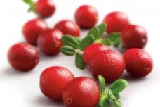 China emerging major market for US-grown cranberries