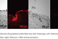 New ingredient enhances penetration of cosmetic actives