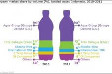 Demand for bottled water in Indonesia attracts foreign investment