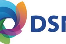 DSM Engineering Plastics moves HQ to Singapore