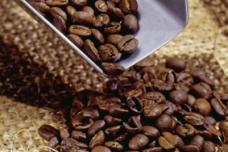 Nespresso launches coffee programme in Ethiopia, Kenya