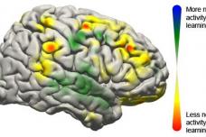 Advances in brain-computer interfaces
