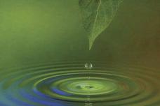BASF offers Green Sense? Concrete technology in Europe